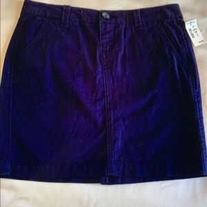 Aeropostale Navy Mini Skirt for Casual Wear, size 0, NWT
